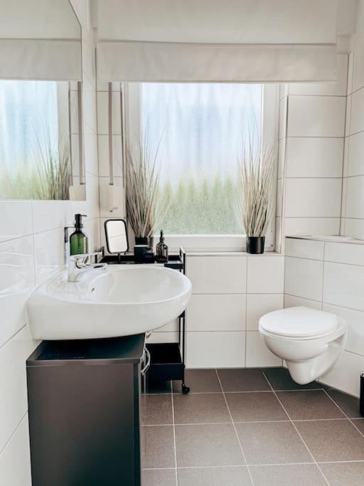 Auszeit - Detmold Apartment ภายนอก รูปภาพ