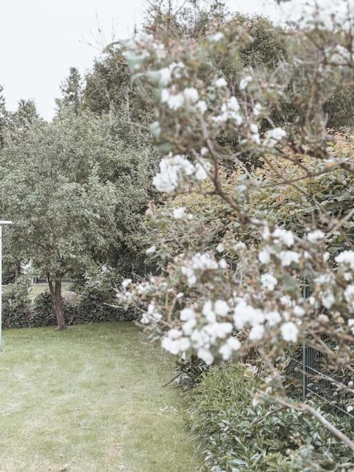 Auszeit - Detmold Apartment ภายนอก รูปภาพ