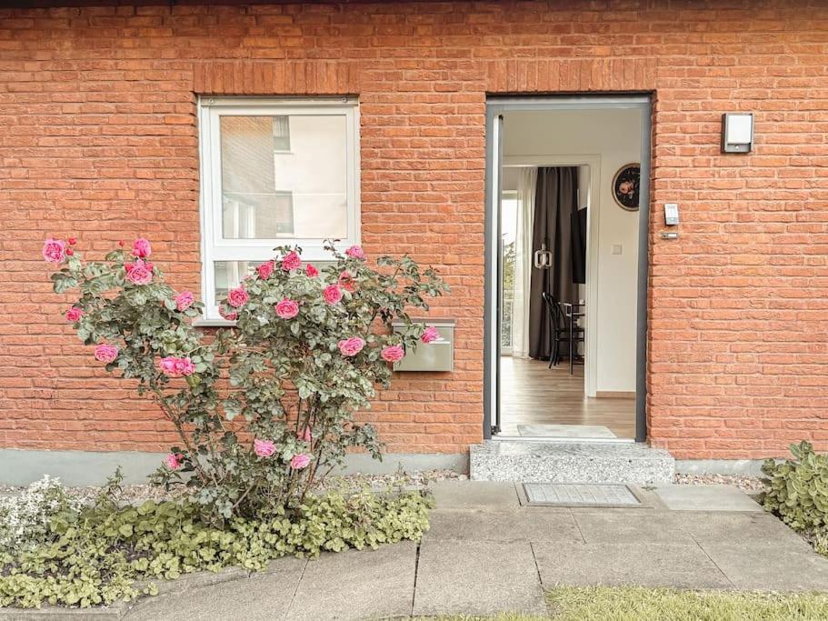 Auszeit - Detmold Apartment ภายนอก รูปภาพ